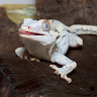 ultra