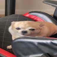 golbatt