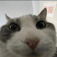 Liddedix