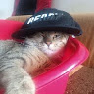Uomogatto_123