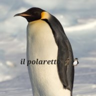 Er_polaretto