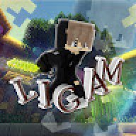 LIGAM
