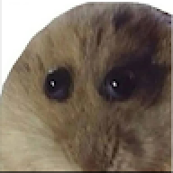PvFox1290