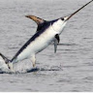 Pescespada