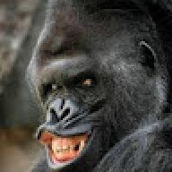 blackgofire