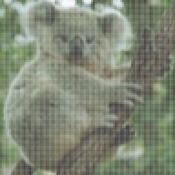 koaljx