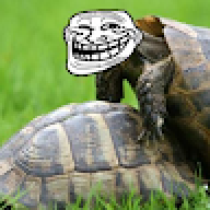 turtletrollz360