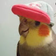 Buonoposto
