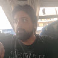 pigeonStrikesBack