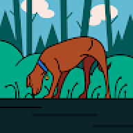 cagnolino27