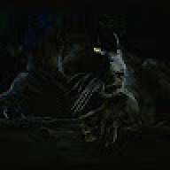 LeoXoros