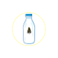 LattediPino