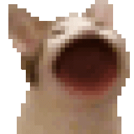 Junny20