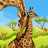 leone_774