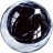 zylonly
