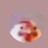 ChirpyX