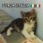 nickpard09