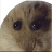 PvFox1290