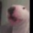h_Salv0_