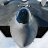 LOLLO_104