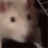 jaquieseal