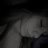 georgiaanax__