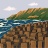 DRCOCNUT2317