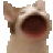 Junny20